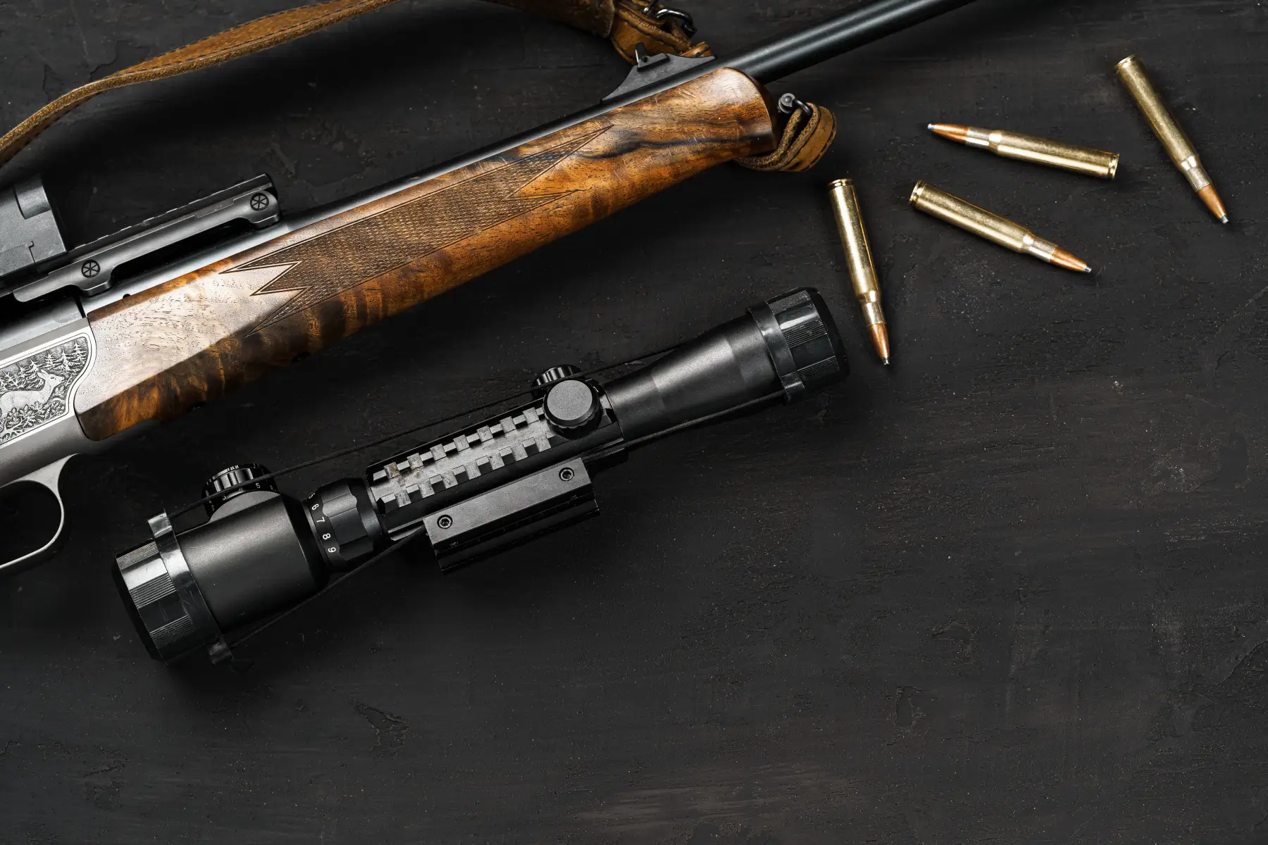 Best Calibers & Bullets for Hunting Black Bear in Northwestern BC